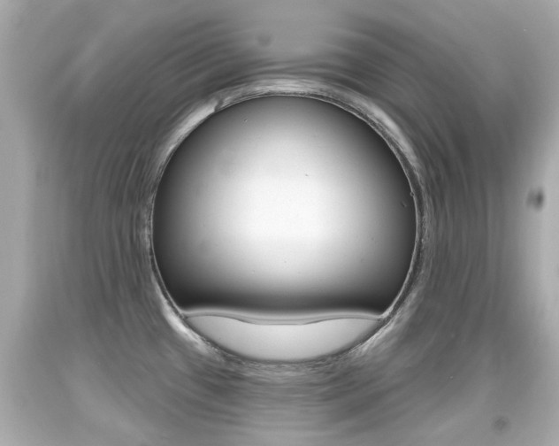 X0000094381433200711020814