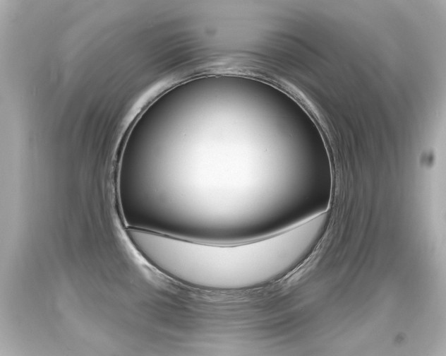 X0000094381434200711020814