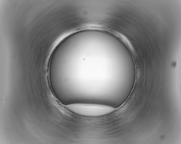 X0000094381435200711020814