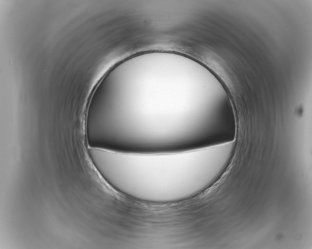 X0000094381436200711020814
