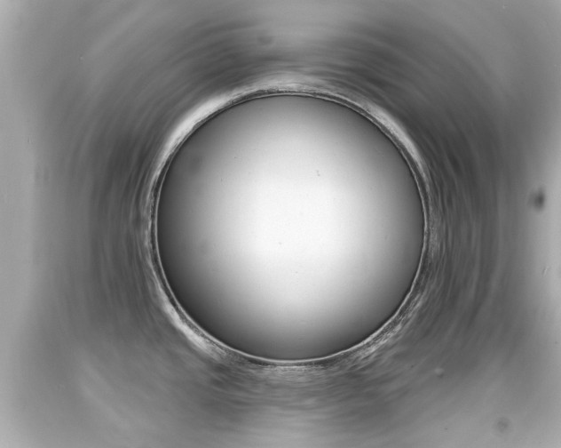 X0000094381437200711020814