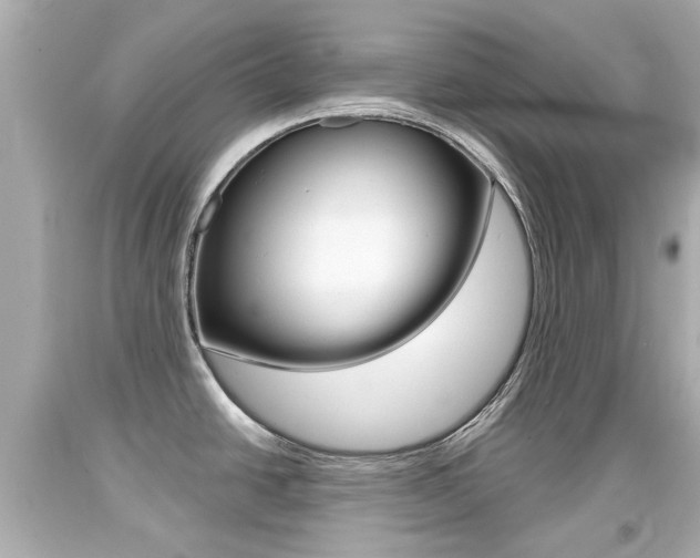 X0000094381438200711020814