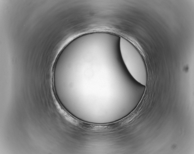 X0000094381439200711020814