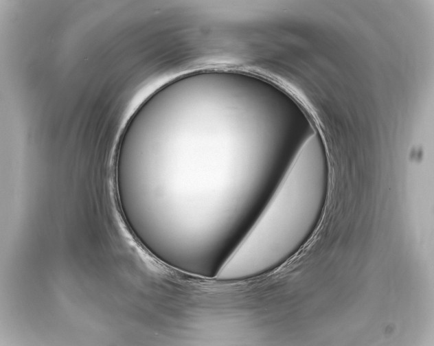 X0000094381440200711020814