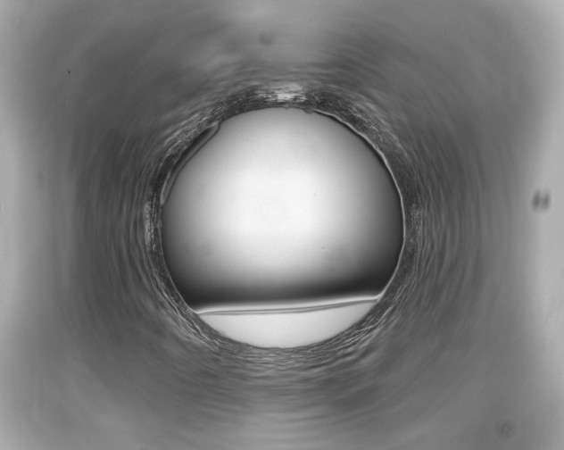 X0000094381442200711020813