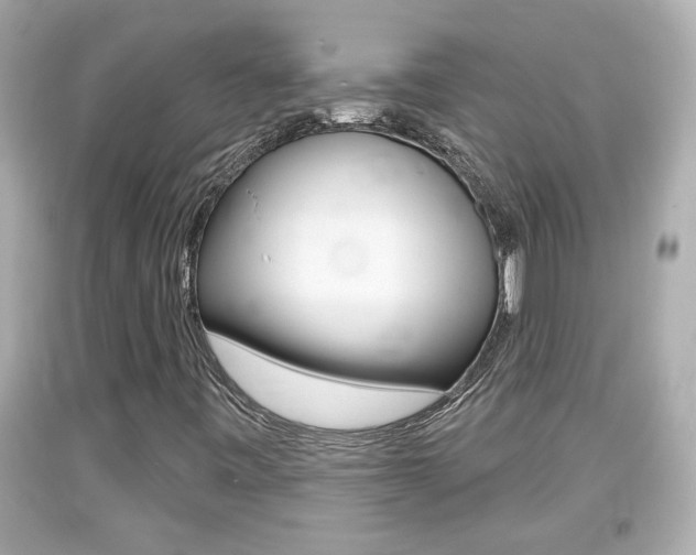 X0000094381443200711020813