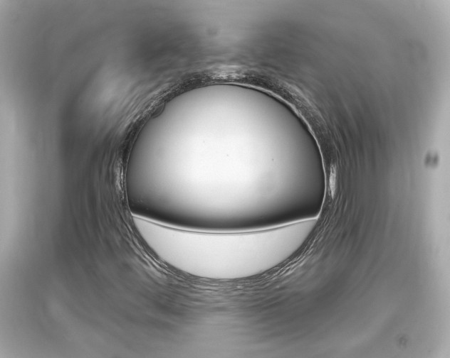 X0000094381444200711020813