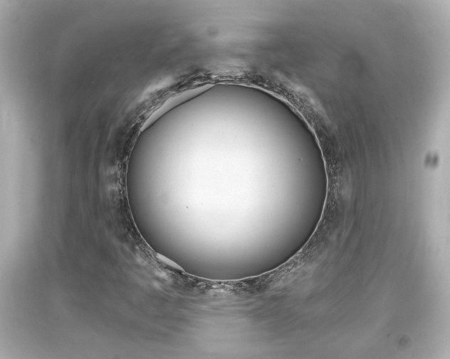 X0000094381445200711020813