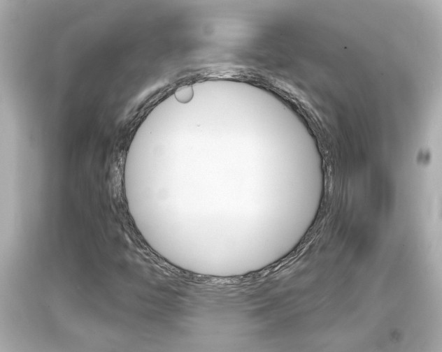 X0000094381446200711020813