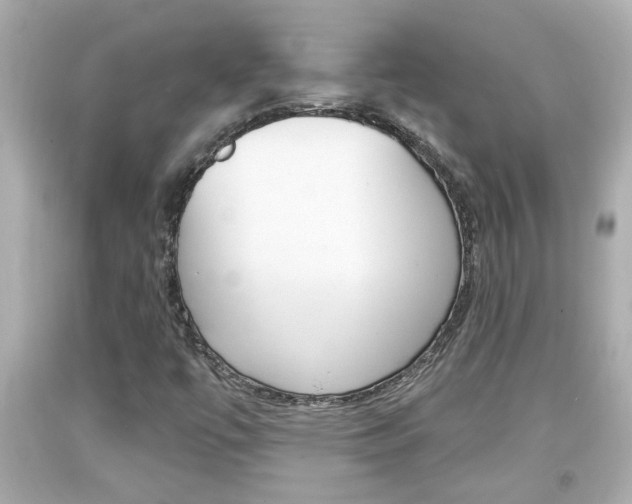 X0000094381447200711020813