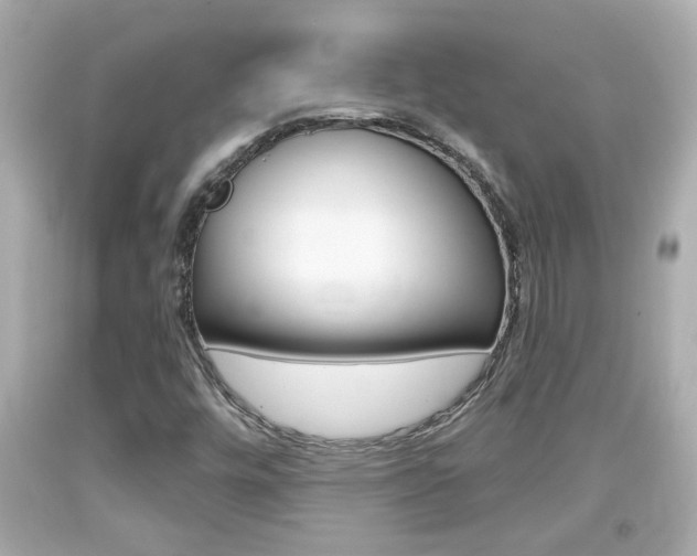 X0000094381448200711020813