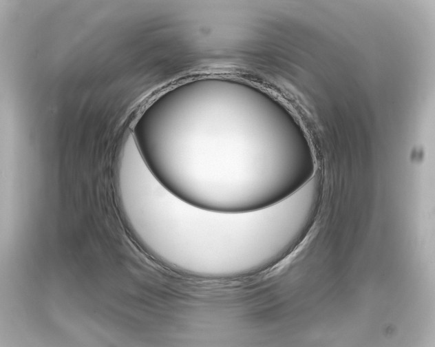 X0000094381449200711020813