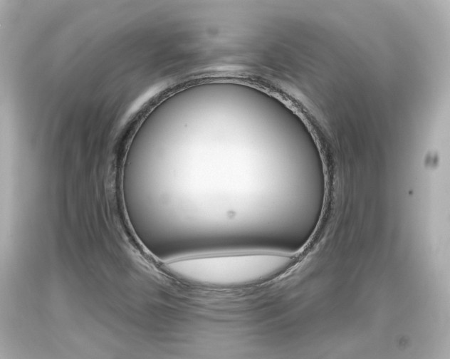 X0000094381450200711020813