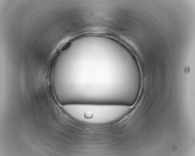 X0000094381451200711020813