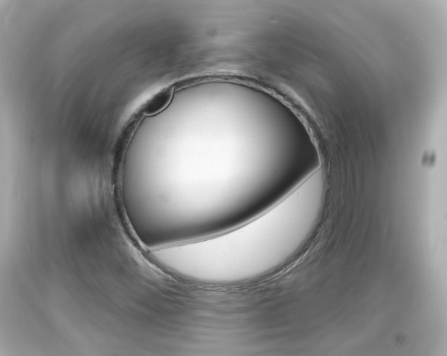 X0000094381452200711020813