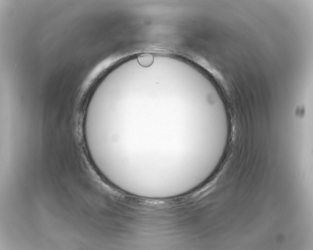 X0000094381454200711020813