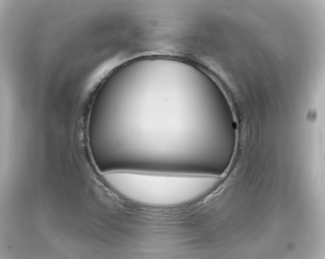 X0000094381455200711020813