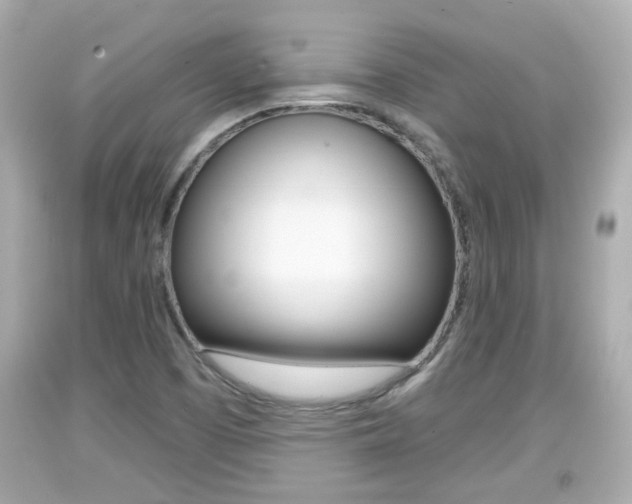X0000094381457200711020813