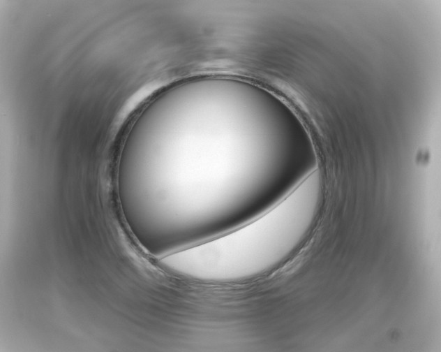 X0000094381458200711020813
