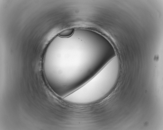 X0000094381459200711020813