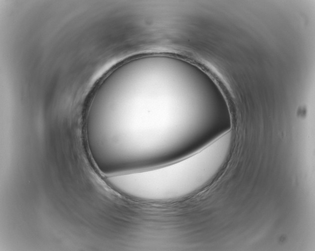 X0000094381460200711020813