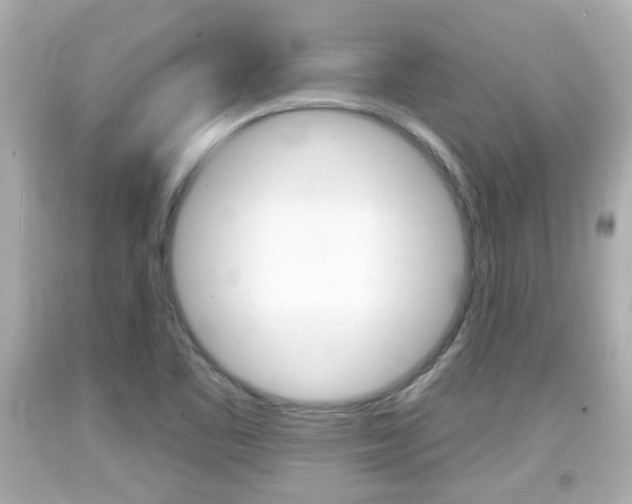 X0000094381461200711020813