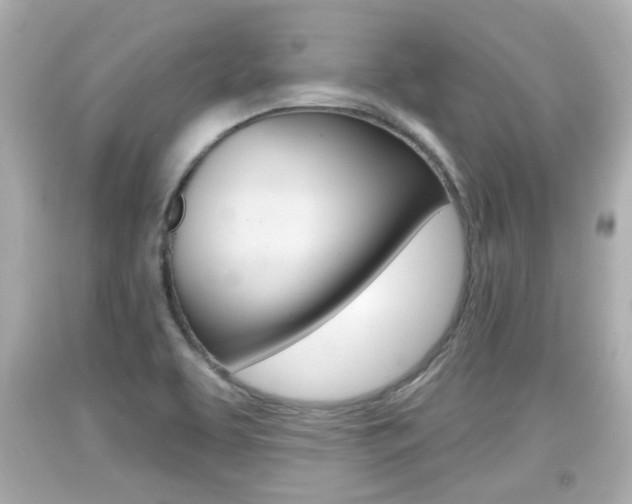 X0000094381463200711020813