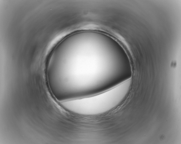 X0000094381464200711020813
