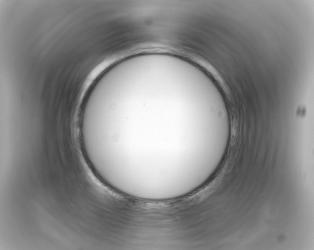 X0000094381466200711020813