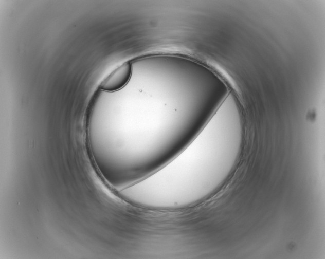 X0000094381468200711020813