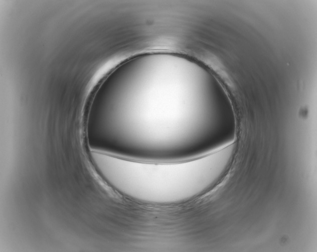 X0000094381469200711020813