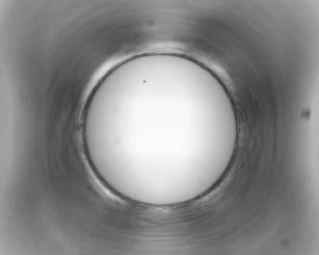 X0000094381470200711020813