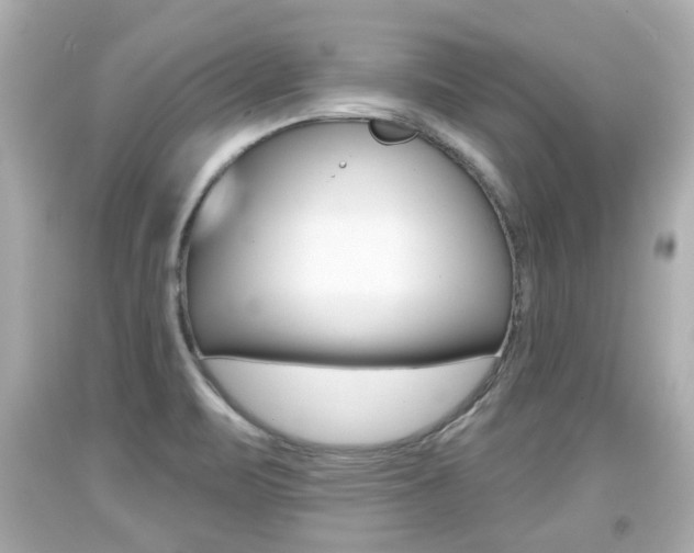 X0000094381471200711020813