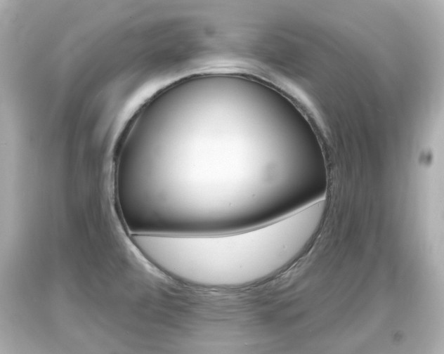 X0000094381472200711020813