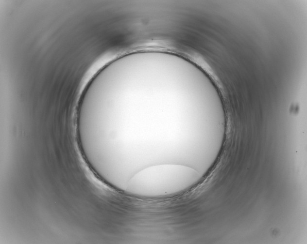 X0000094381474200711020813