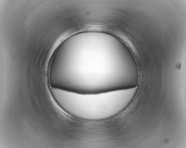 X0000094381475200711020813