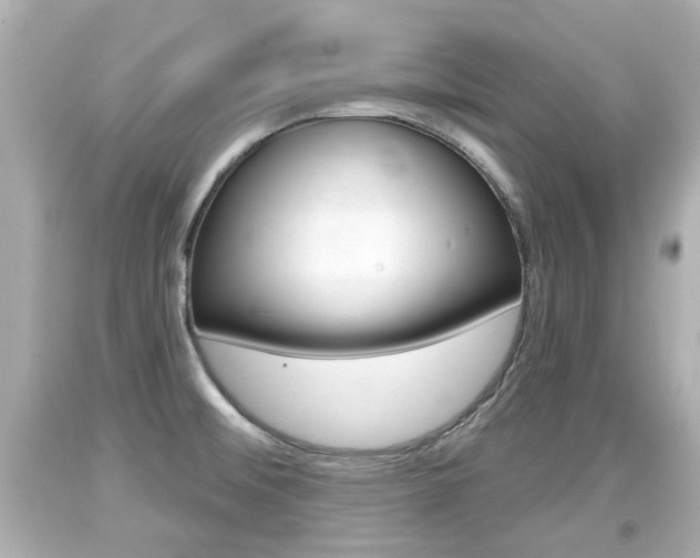 X0000094381476200711020813