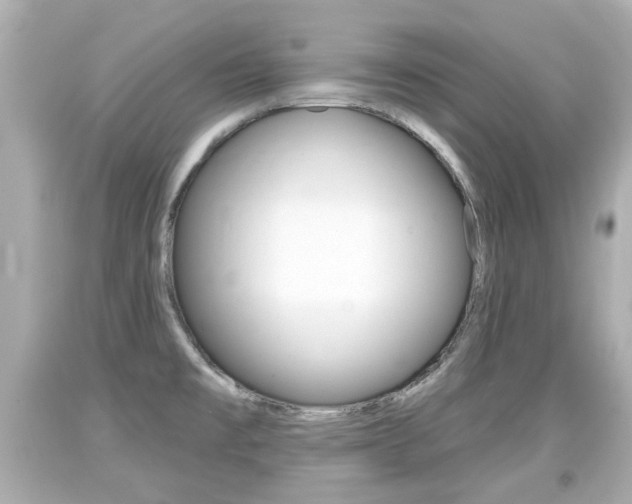 X0000094381477200711020813