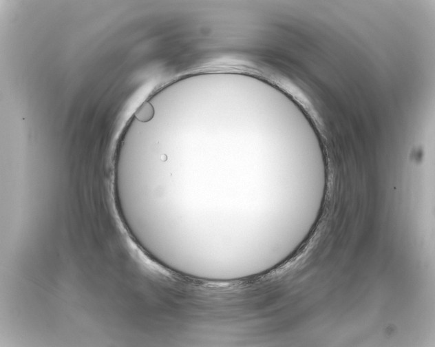 X0000094381478200711020813