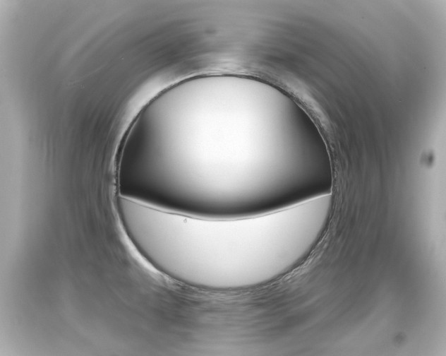 X0000094381479200711020813
