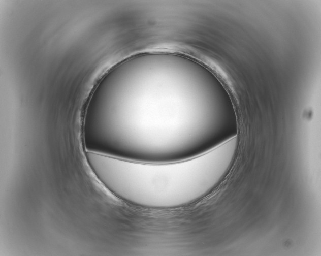 X0000094381480200711020813