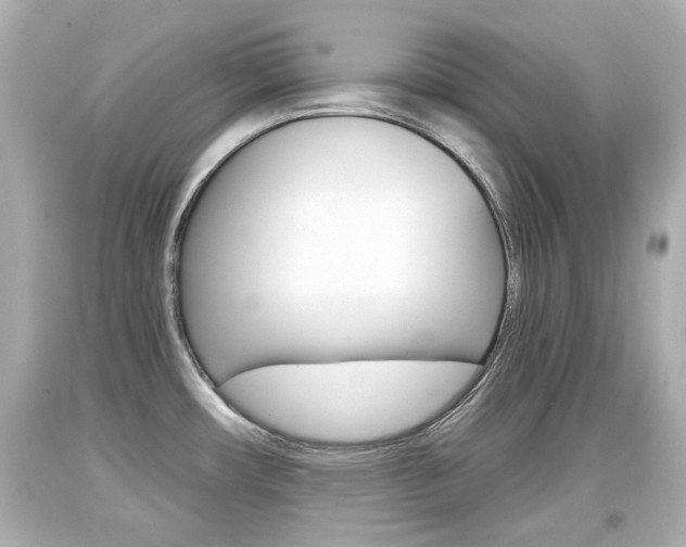 X0000094381482200711020813