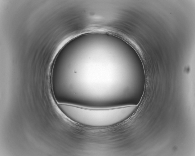 X0000094381483200711020813