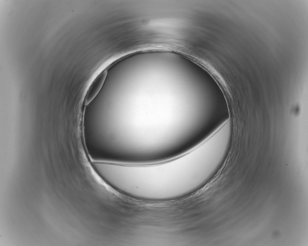 X0000094381484200711020813