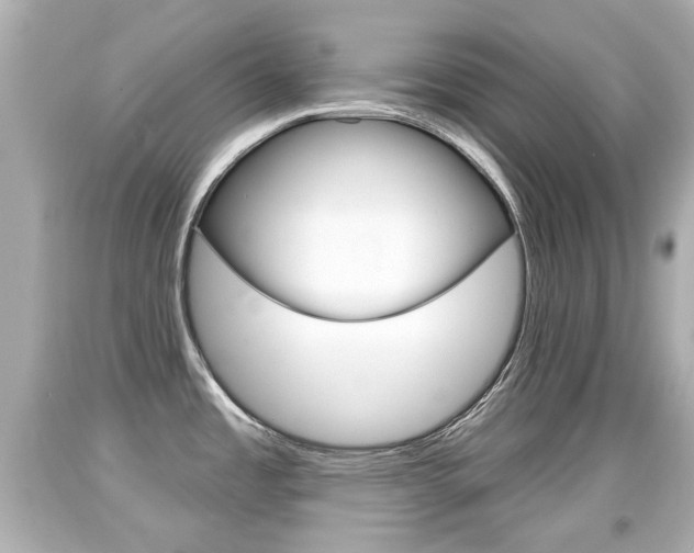 X0000094381485200711020813