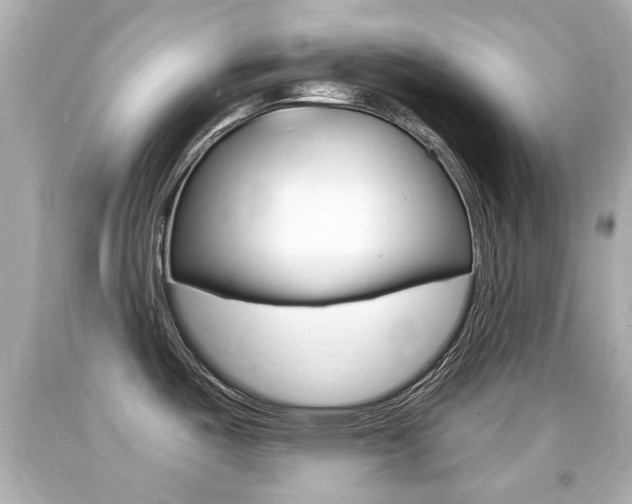 X0000094381487200711020813
