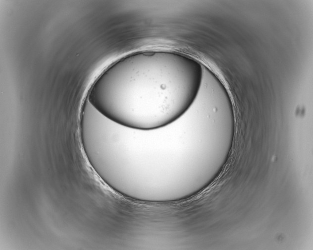 X0000094381488200711020813