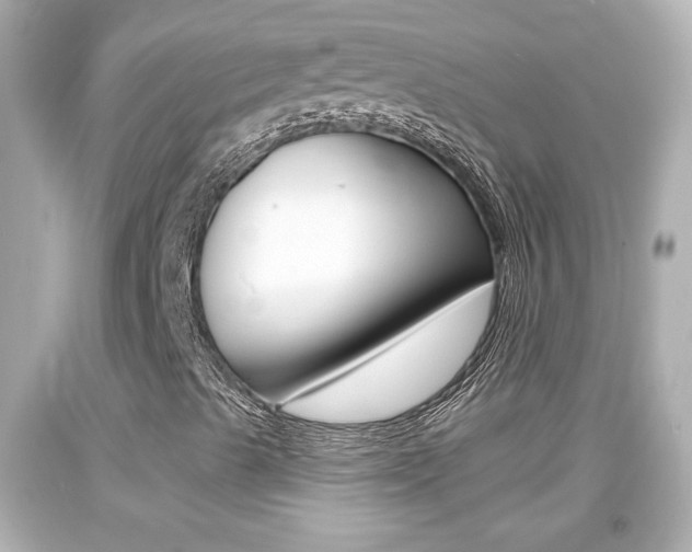 X0000094381489200711020812