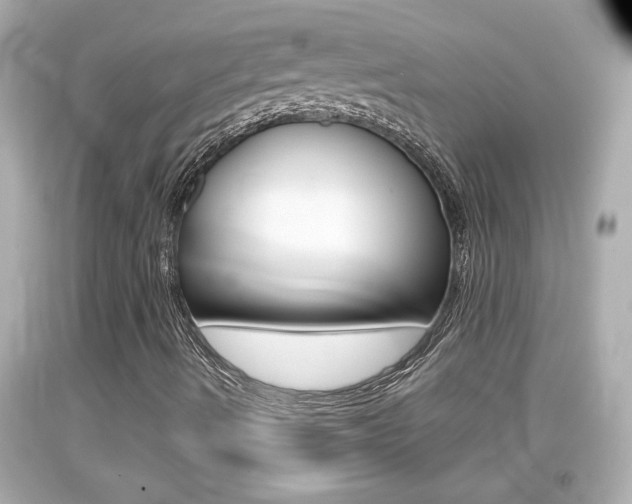 X0000094381490200711020812
