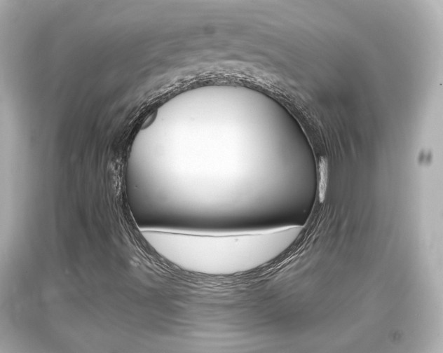 X0000094381491200711020812